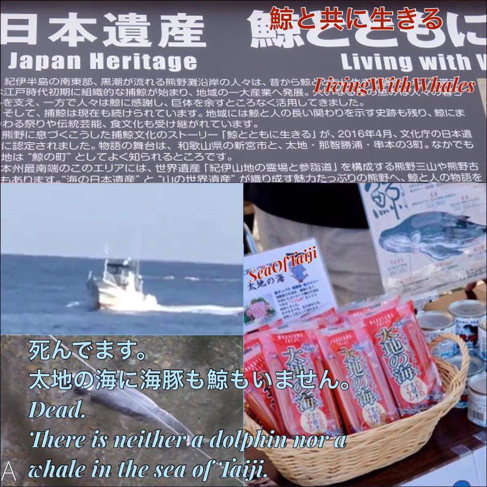 Mesia 言葉のトリック Trick Of Words 太地な動物虐待を止めない決意 Determination Of Taiji That Does Not Stop Animal Abuse Mesia 言葉のトリック Trick Of Words 太地な動物虐待を止めない決意 Determination Of Taiji That Does Not Stop Animal Abuse