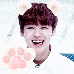 winkroe's tweet photo. #wannableselcaday with my one and only fave boy Park Jihoon ๐ท๐๐ ๋ฐ์งํ ๐ค #jiroe https://t.co/3DAd8yHhqq