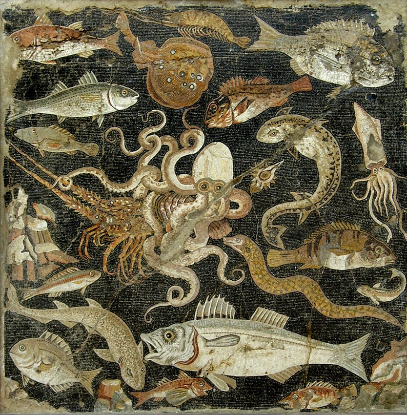 temptoetiam's tweet image. Les mosaiques de Pompéï, avec leurs poulpes hallucinés et leurs roussettes méfiantes...