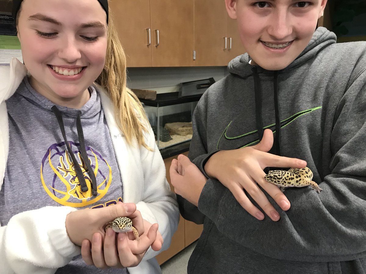 deemeister70's tweet photo. #eahsgo Welcome Luke &amp; Leia, leopard geckos, to the herd! https://t.co/ipbrbYsBIz