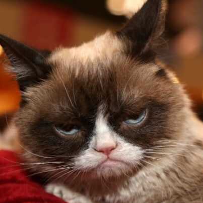 Mr_Santa_Card's tweet photo. #NewProfilePic How I feel when someone asks: “Why are you listening to Christmas music?”
@CountryKenzy 🎅🏻#YELLING #MERRYCHRISTMAS #AtThem https://t.co/L7THKrUCgu