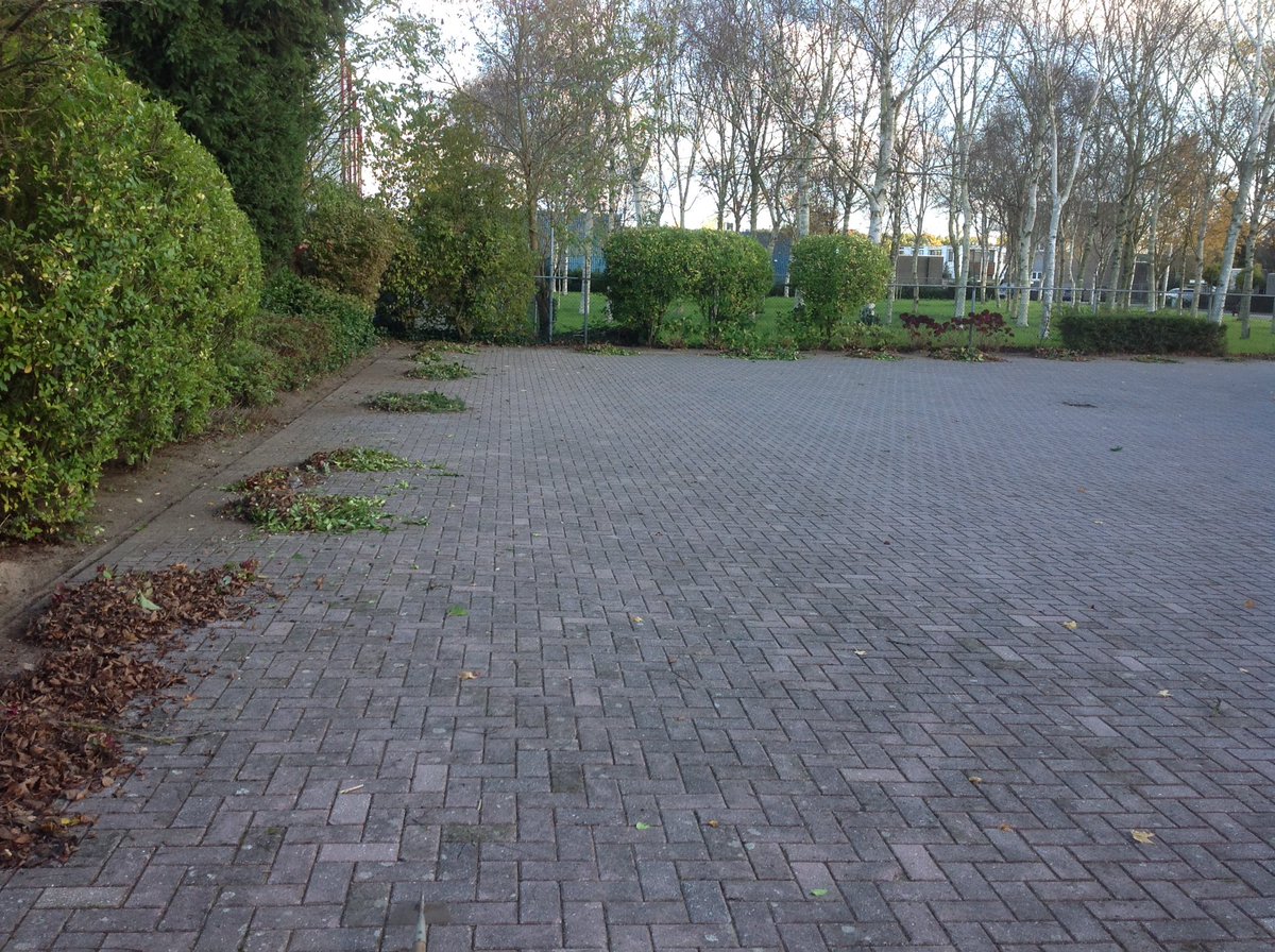 BeautifulGarde1's tweet photo. #Winterbeurt 👨🏼‍🌾🍁✂️🌱🌸van een Bedrijfstuin in Breda. https://t.co/3VMUJyhAkK