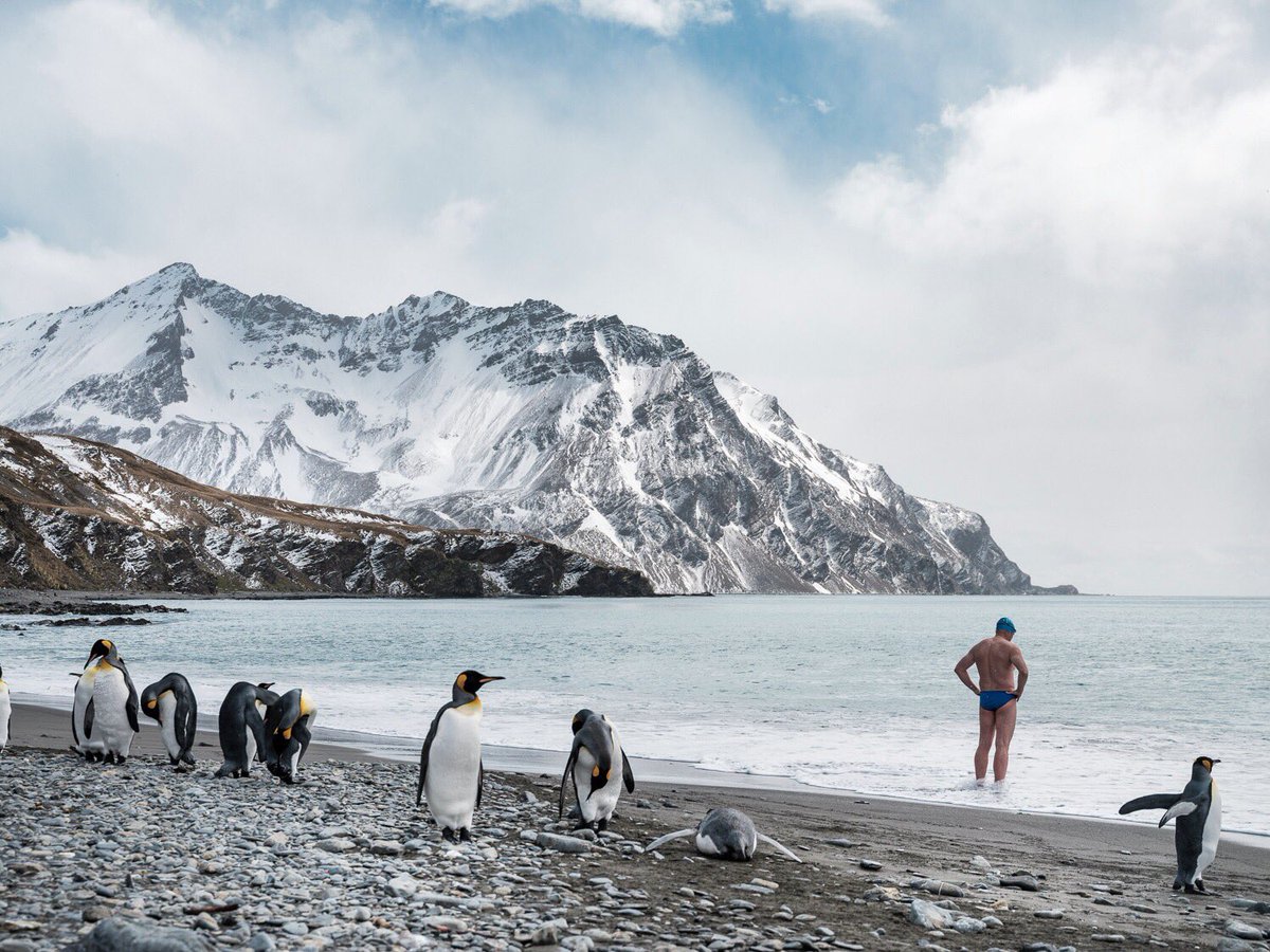 LewisPugh's tweet photo. This place belongs to them. It’s up to us to keep it that way. #Antarctica2020 https://t.co/32dFRG11PJ