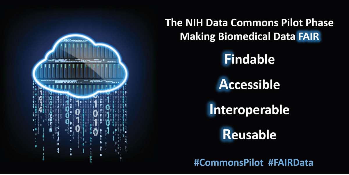 NIH_CommonFund's tweet image. Davis-Dusenbery of @SBGenomics says the #CommonsPilot&apos;s focus on #interoperability answers call to break #DataSiloes sevenbridges.com/press/releases…