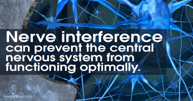 sabelldc's tweet photo. Chiropractic can reduce or remove nervous system interference, allowing you body to operate at its full potential. https://t.co/ajIdxNYtSD