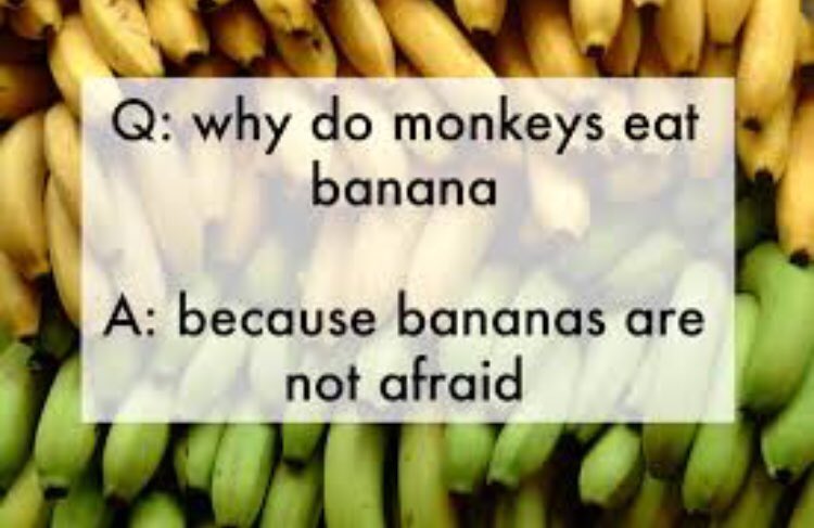 karly_britt's tweet photo. @livallenn i will never not be happy if i’m reading jokes by kids https://t.co/Nd1iFVsOJL
