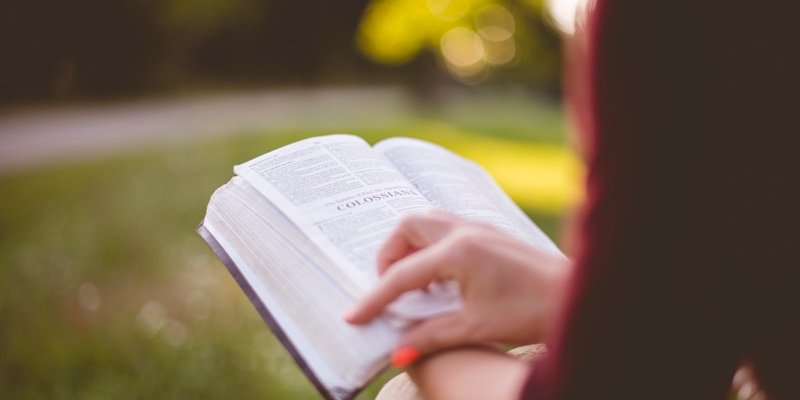Erminesoft's tweet photo. A new outlook on literature via the mobile app https://t.co/woS7DM1XM7
#MondayMotivation https://t.co/viIWzgtpDR