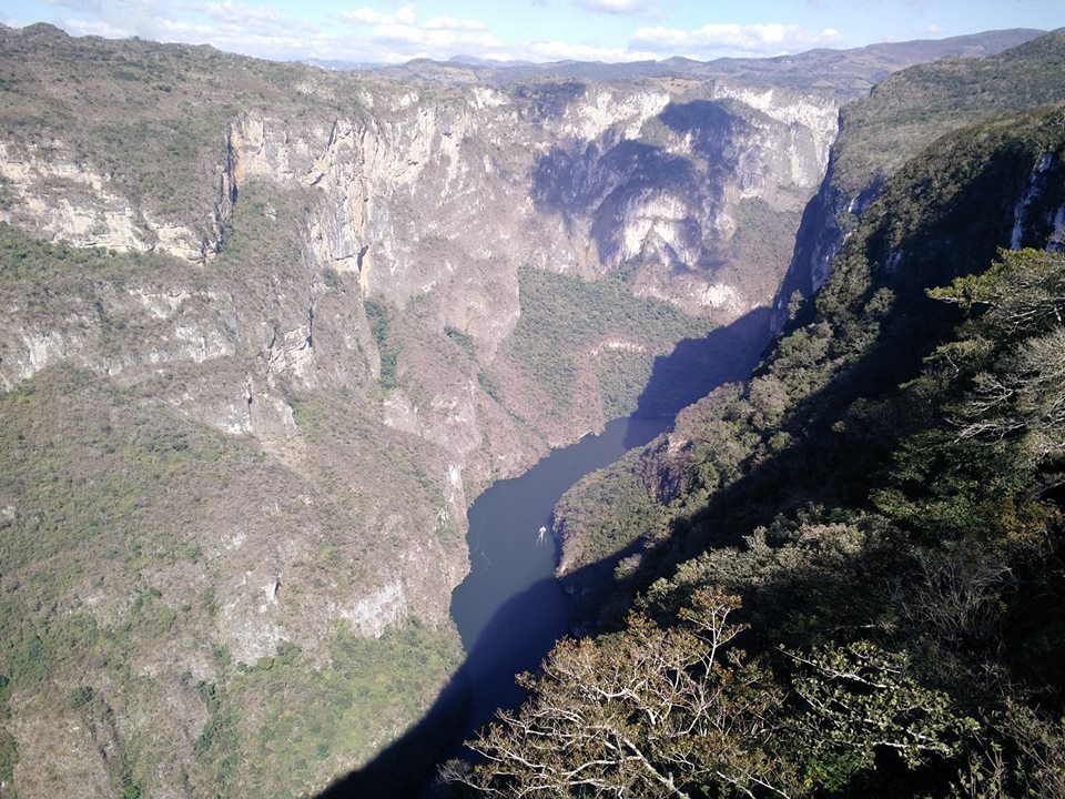 Sectur_Chiapas's tweet photo. Así de imponente luce el Cañón del Sumidero desde el Mirador "Los Chiapa", ven a los miradores y conoce diversos ángulos de esta maravilla https://t.co/ZzdGfBDHKM