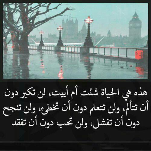 AlryamiSalih's tweet photo. https://t.co/XEdIYo2tHD