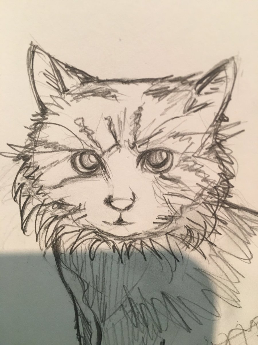 peterwupt's tweet photo. Sick day kitty sketch https://t.co/Abm9Z9OnbK