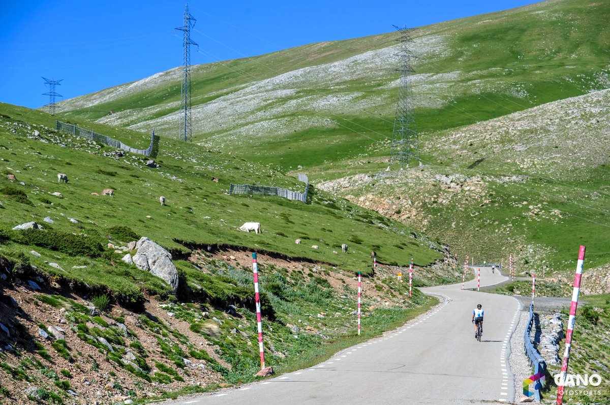 ciclo4cims's tweet photo. A la #Buff4cims no pedalaràs mai sol😅🐄 En la #Buff4cims no pedalearás nunca solo😝🐮 #realcycling https://t.co/AqYi2FLY8o