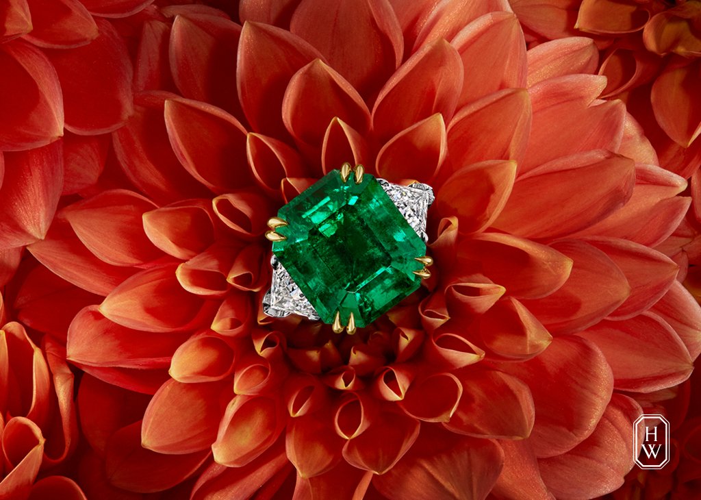 HarryWinston's tweet photo. Emerald enchantment. Add enviable color to your #WinstonFall wardrobe: https://t.co/PWk7YFUTYz #HarryWinston #HighJewelry https://t.co/10CKoTs1rF