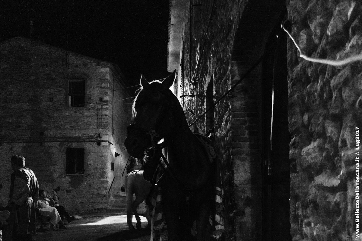 #Suvereto : nella notte dei tempi

#Toscana #Tuscany #medievale #night #notte #cavallo #horse #light #valdicornia #Suberetum