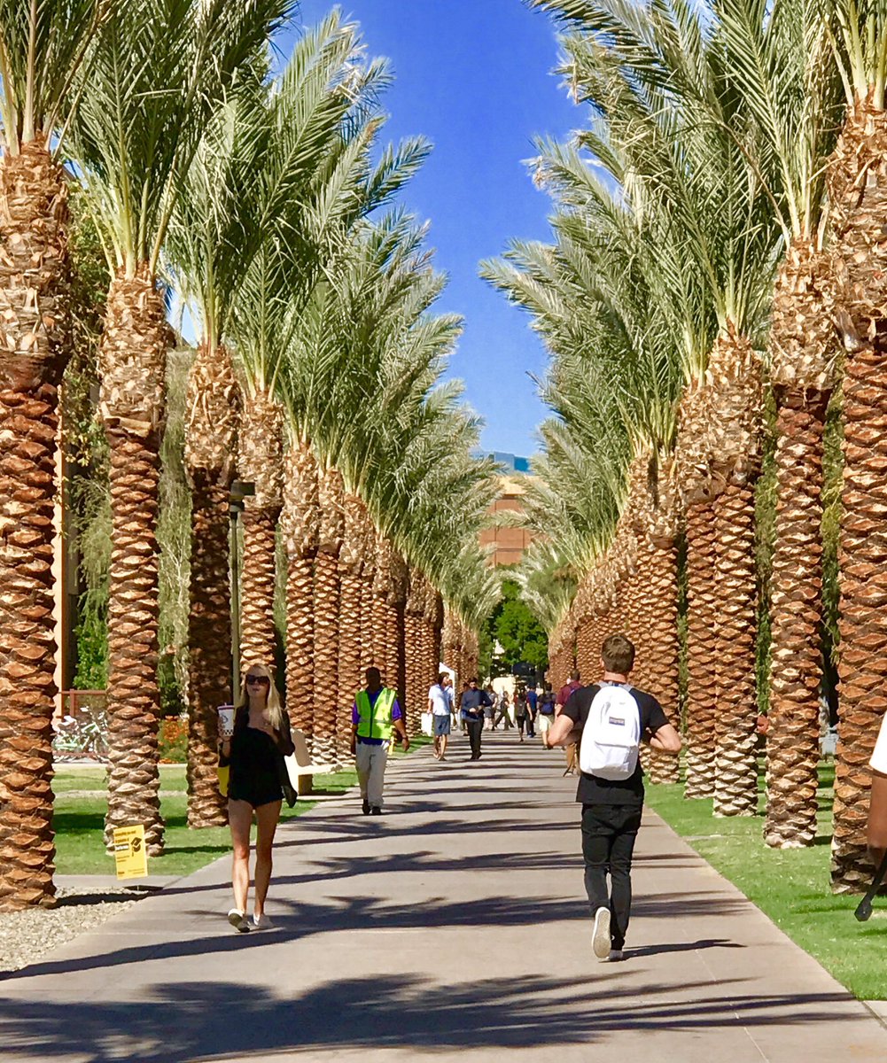 ASUMikeM's tweet photo. Dog days of October #campuslife #palmwalk #ShovelingSunshine ☀️🎃🌴😈#GoDevils https://t.co/e6fEcA00rG