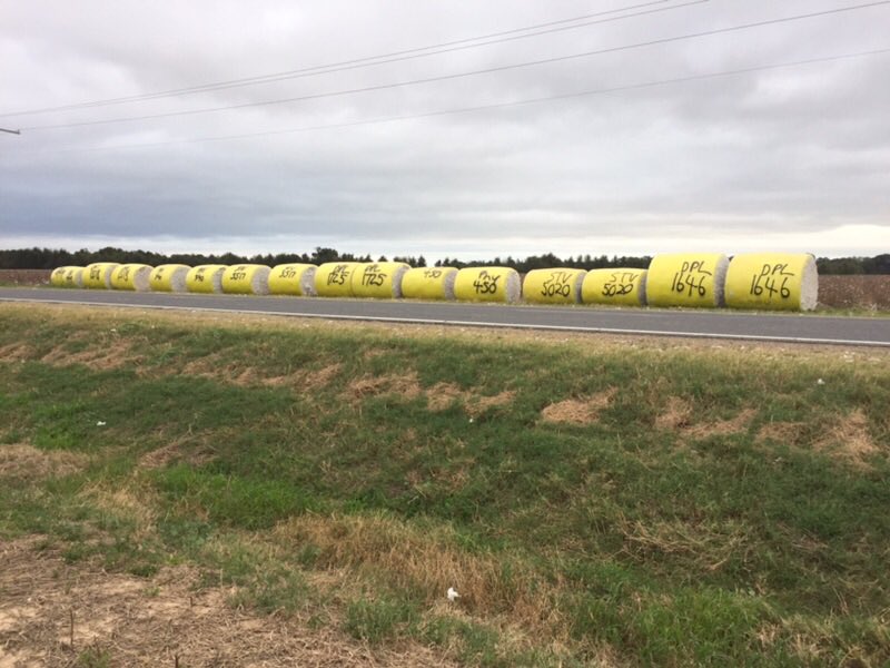 hartleytexas's tweet photo. Looks like 1646 is the plot winner !!!#Louisiana https://t.co/hhJhOaTsif