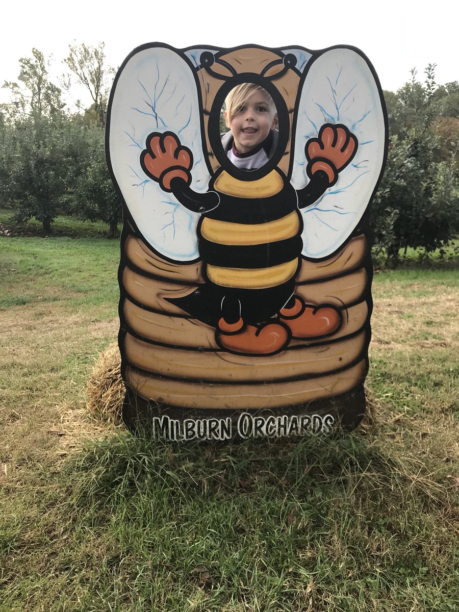 carolcollison1's tweet photo. Cute little bees! #LHEpride https://t.co/Z71wPhZIsg