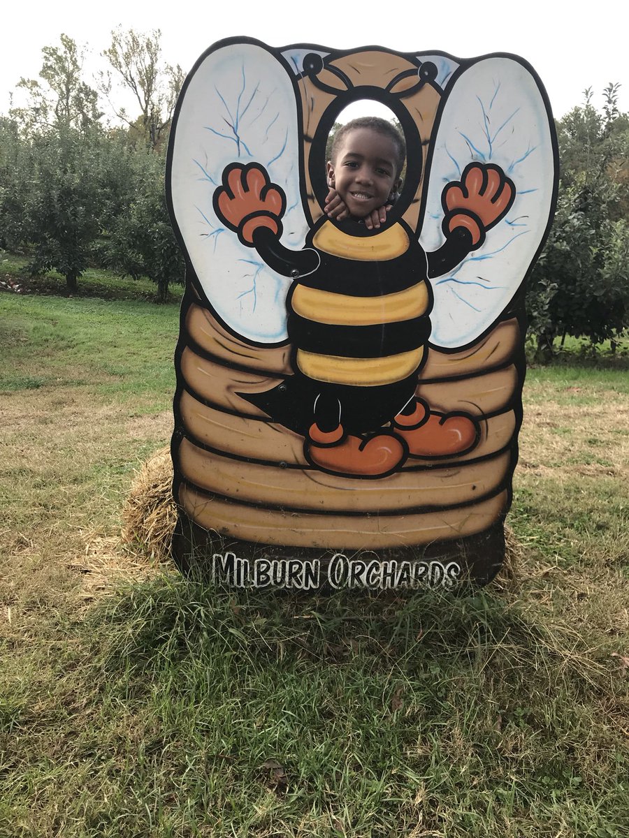 carolcollison1's tweet photo. Cute little bees! #LHEpride https://t.co/Z71wPhZIsg