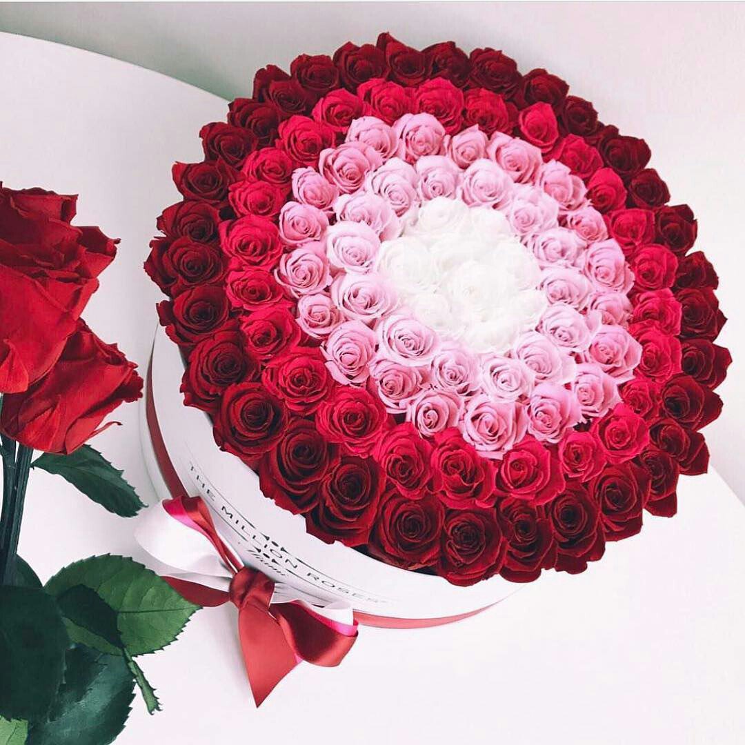 SunroseComUa's tweet image. Позитивные люди не ждут хорошего дня — они сами создают его!😊 
Всем отличного дня и хорошего настроения🌸