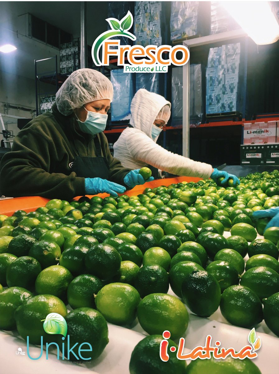 FrescoProduce_'s tweet photo. Need Persian Limes? We've got them!! #Limes #Unike #iLatina #FrescoProduce https://t.co/fF8eDCLzUi