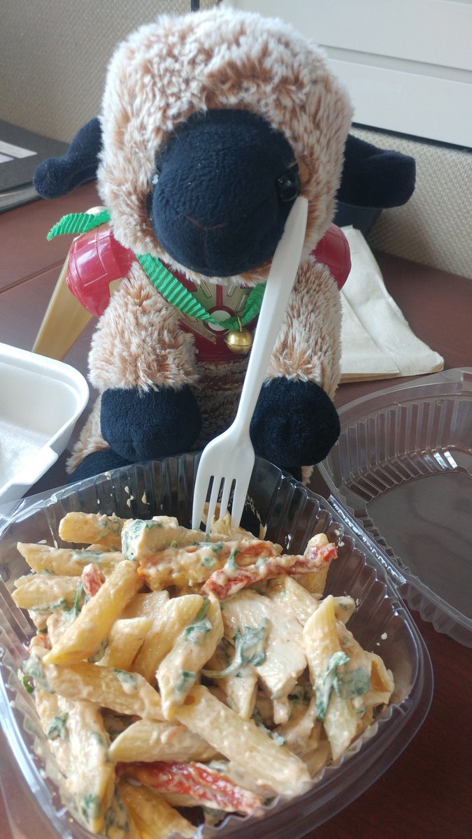 goatelina's tweet photo. Eating pasta salad because I'm a goat. #IronGoat #Goatelina https://t.co/SL1JNWWKTz