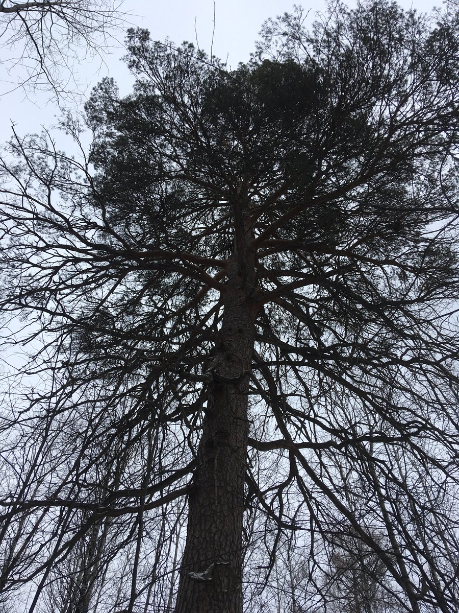 _ldeunrtn_'s tweet photo. Верните туда https://t.co/AN9cgkJQel