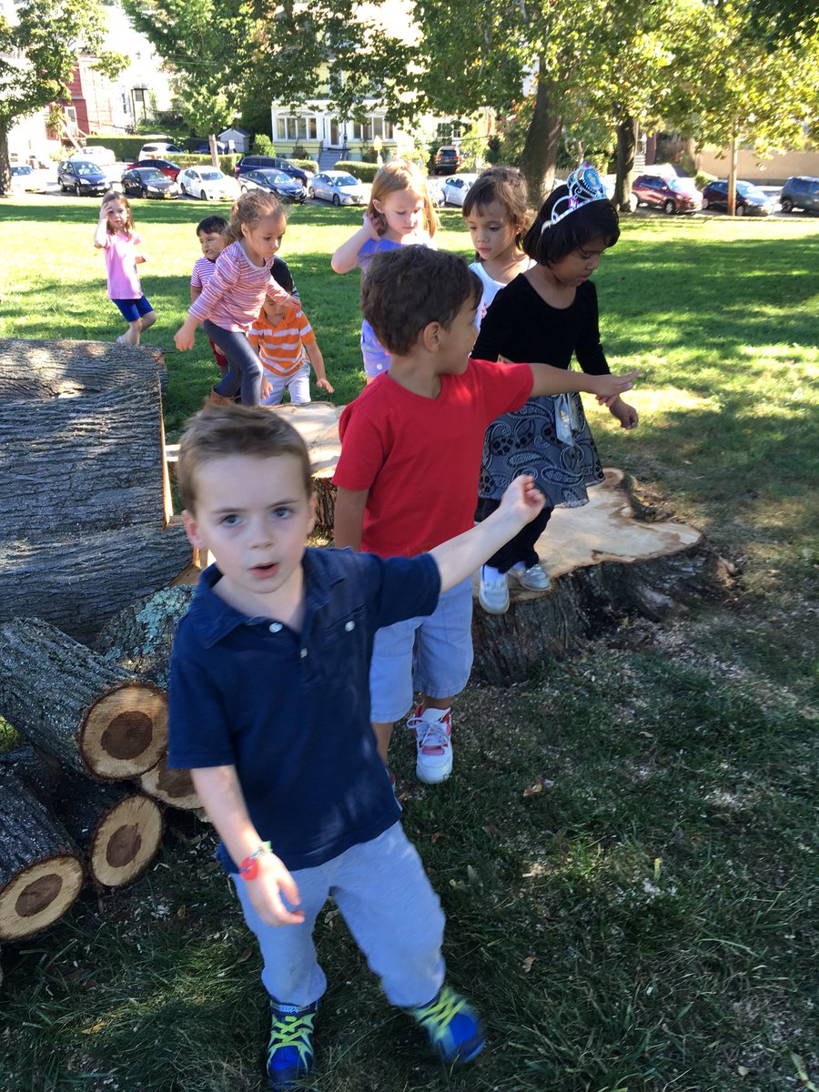 #treestudy in #nelsonpark #prkredroom <a href="/OssiningSchools/">Ossining UFSD</a> @knv80