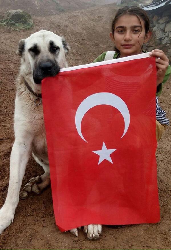 nuketkazanc's tweet photo. Rizeli çoban Hamdusena ve duyarlı madenciler 29 Ekim CUMHURİYET resepsiyonuna RTErdoğandan davet almışlar Aysun Kayacı'da orda olacakmı :) https://t.co/T3lmVAA3v3