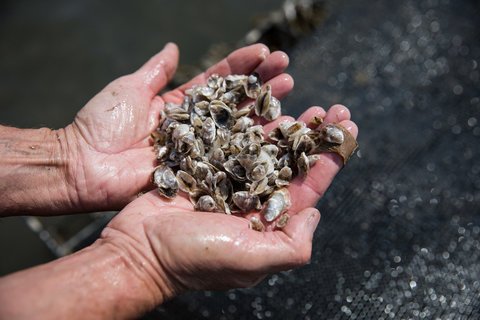 Ocean Wise Seafood tweet media