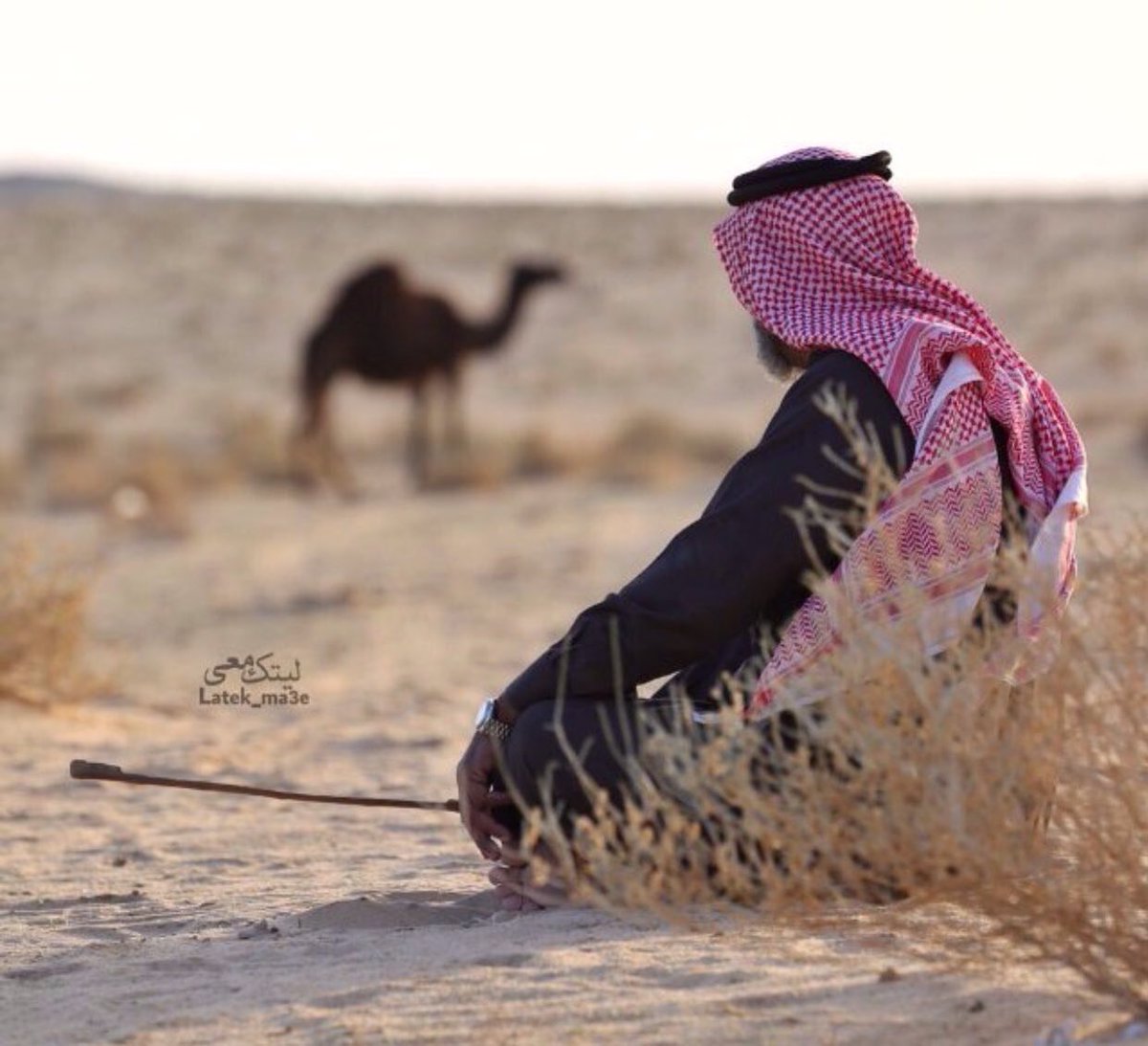 خلّوه ٠٠ يزعل  لين  ترضيه الايام
وعقّبني  الفنجال لارحت اراضيه
.
اللي زعل باوهام ترضيه الاوهام
خلّه على الصدّة  ولاني ٠براجيه
#راقت لي