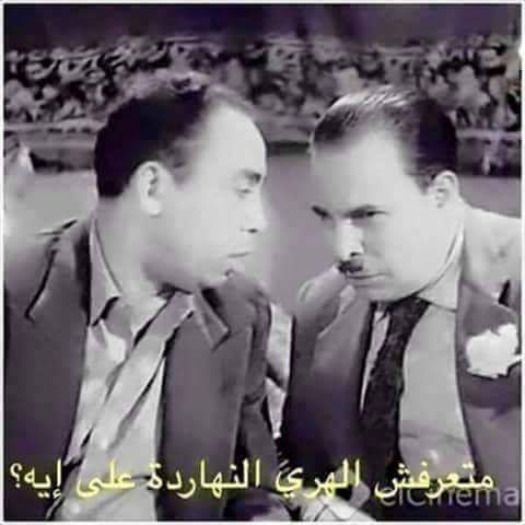 محمد النوبى (@melnoby11gmail1) on Twitter photo 