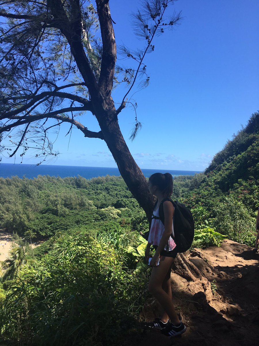 LisaLArmour's tweet photo. Good morning 😃 🌺🏝
ハワイも冬になってきました。
またカウアイ島に行きたいな⛰
#Hawaii #aloha #winter #honolulu #kauai #もうすぐ冬 #ハイキング https://t.co/FRdNuqcscv