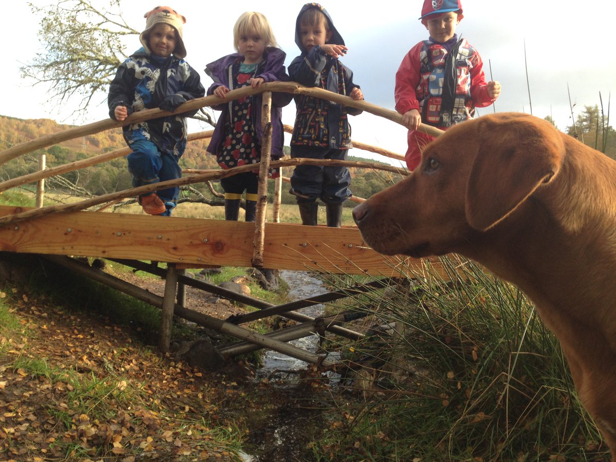shielingproject's tweet photo. Four summerlings & a big dog! What a great day & we hope many more to come. #outdoornursery #highlands #theshielingproject #summerlings https://t.co/cSN8n4EQbV