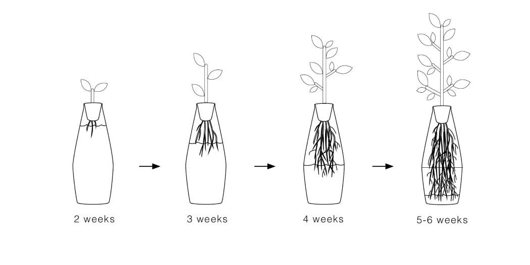 smartdesignlab's tweet photo. Go green, grow green! 
https://t.co/lEMfCsfl2M https://t.co/5TebGtwNLP
