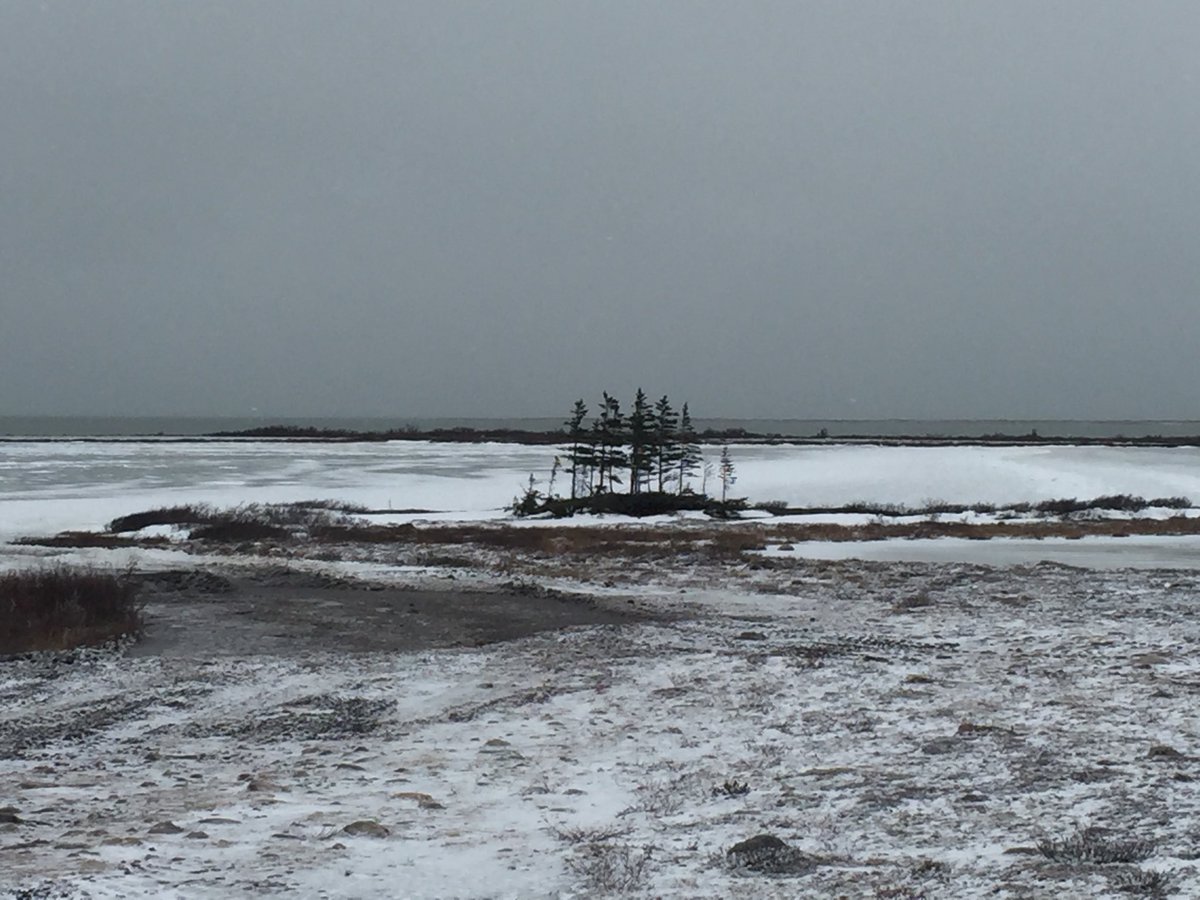 We've arrived to the shore of Hudson's Bay with <a href="/PolarBears/">Polar Bears International</a> in a mobile #scicomm buggy! <a href="/Beakerhead/">Beakerhead</a> scicomm here?