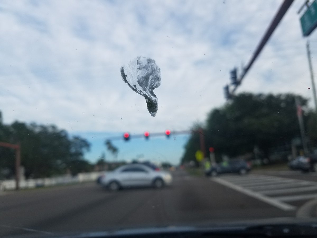 billeecox's tweet photo. People still ask why I have this thing against birds #exhibitA #mywindshield #yetagain https://t.co/PD1sgrPmjc