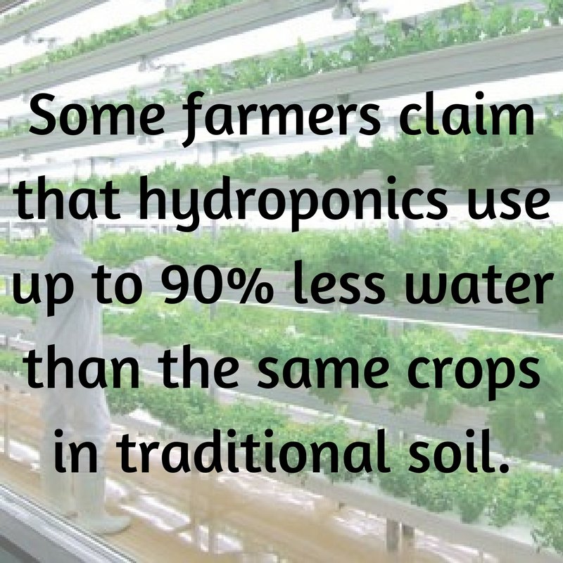 WebHydroponics's tweet photo. The right hydroponic setup can save water! https://t.co/RbU8giY0km