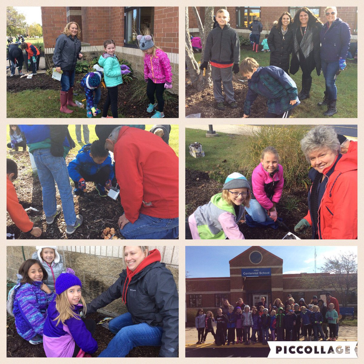 bwl222's tweet photo. Centennial's 2nd graders planting bulbs for the spring🌷 https://t.co/L9osYecrRG