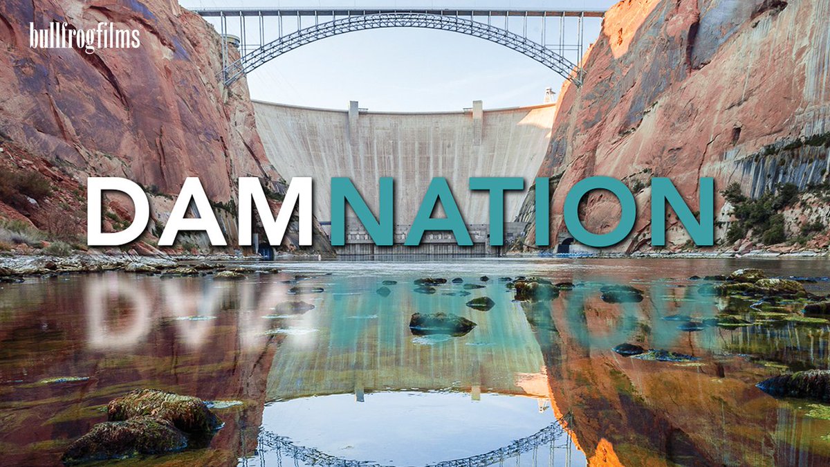 bullfrogcomm's tweet photo. The Bookshelf Cinema presents a screening of @DamNationFilm on 10/28 in #Guelph, Ontario, Canada. https://t.co/jdwZNtBlpt @Bookshelfnews https://t.co/1CY1xX9HTm