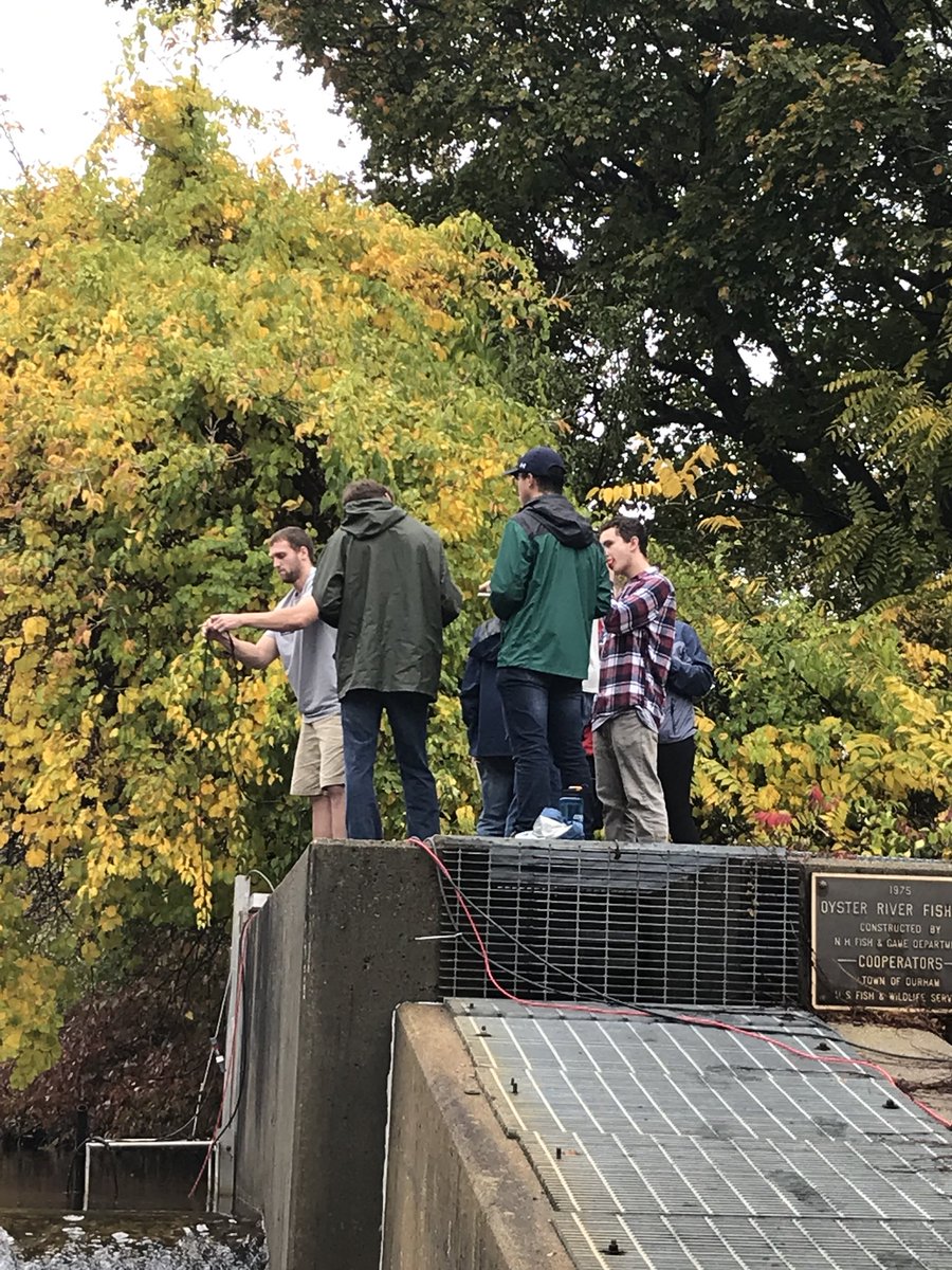 RuthVarner1's tweet photo. Another great day to do #fieldwork right @kyle__macdonald ? @UNH_CEPS @unhESRC https://t.co/NEKAhdE0Su