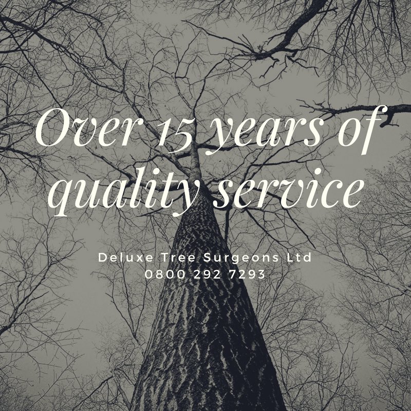 DeluxeTree's tweet image. Trust the experts. Get in touch to find out more! #northeast #deluxetreesurgeons