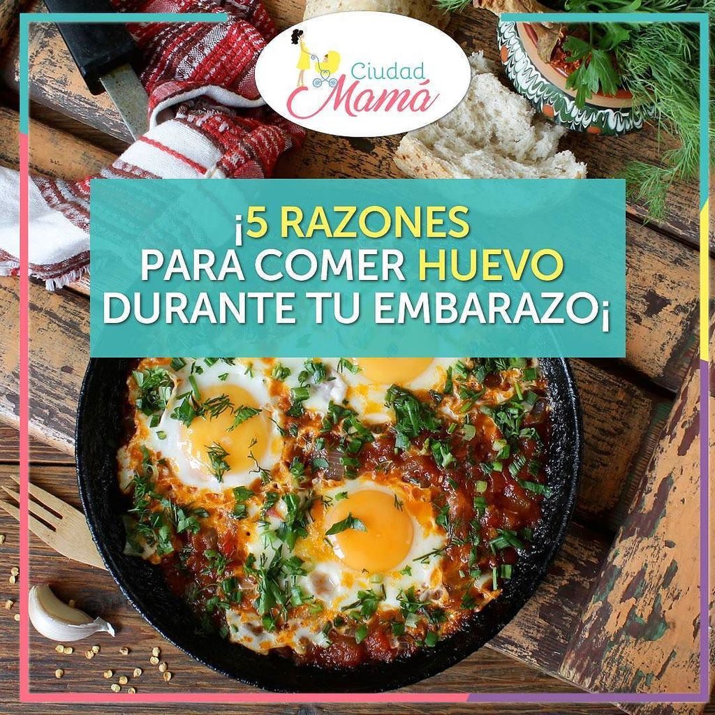 CiudadMama's tweet photo. ¿Conoces los beneficios que el huevo te aporta durante el #embarazo? La Coach nutricional @laupiedrahita nos compa… https://t.co/clWivJ1hdd https://t.co/A8yKV2gS9M