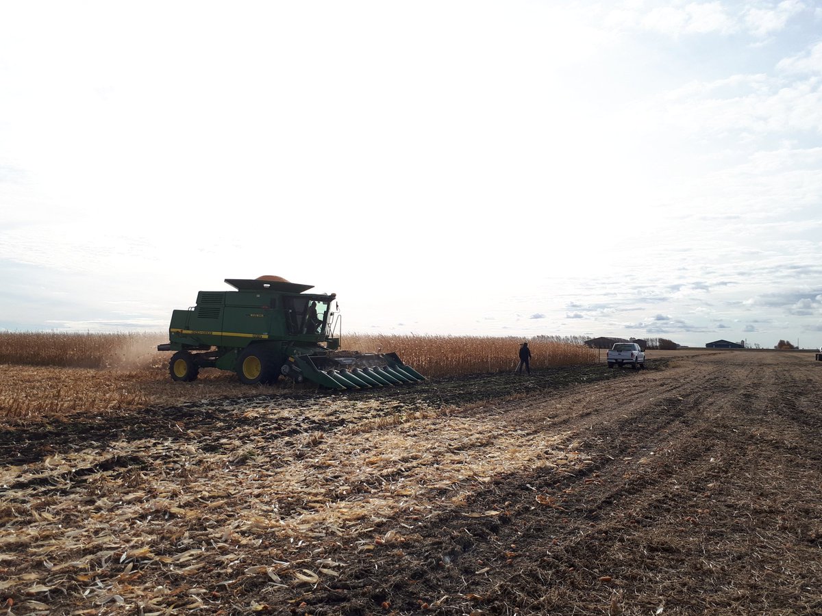 FSL_Merrill's tweet photo. Friesen Seeds corn trial came off today! https://t.co/qXk5S8rqWH