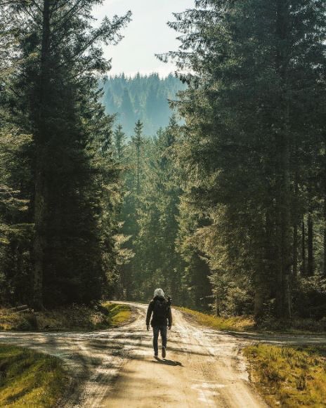 bouncefoods's tweet photo. “The body benefits from movement; the mind benefits from stillness.” 🙏🏻 @_DanVeal has nailed the best way to balance them both... #ThinkClearer https://t.co/UjigHIpjXs