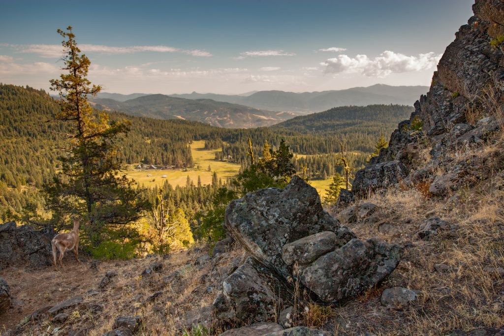You can see all the way to #California from up here!
#willowwittranch #southernoregon #exploregon #getoutdoors #hiking #farmstay #ashland