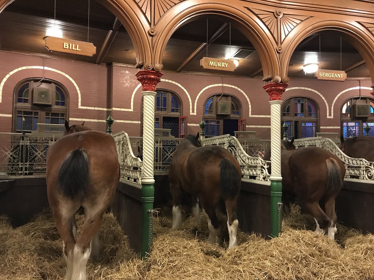 TravisKindler's tweet photo. Amazing tour of @AnheuserBusch - missing a letter but must be some #BillMurray fans looking after the stables! https://t.co/JogVEK61M0
