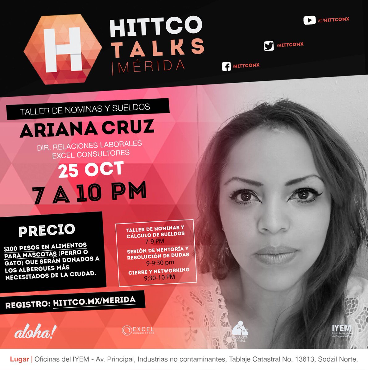 Hittco.mx tweet media
