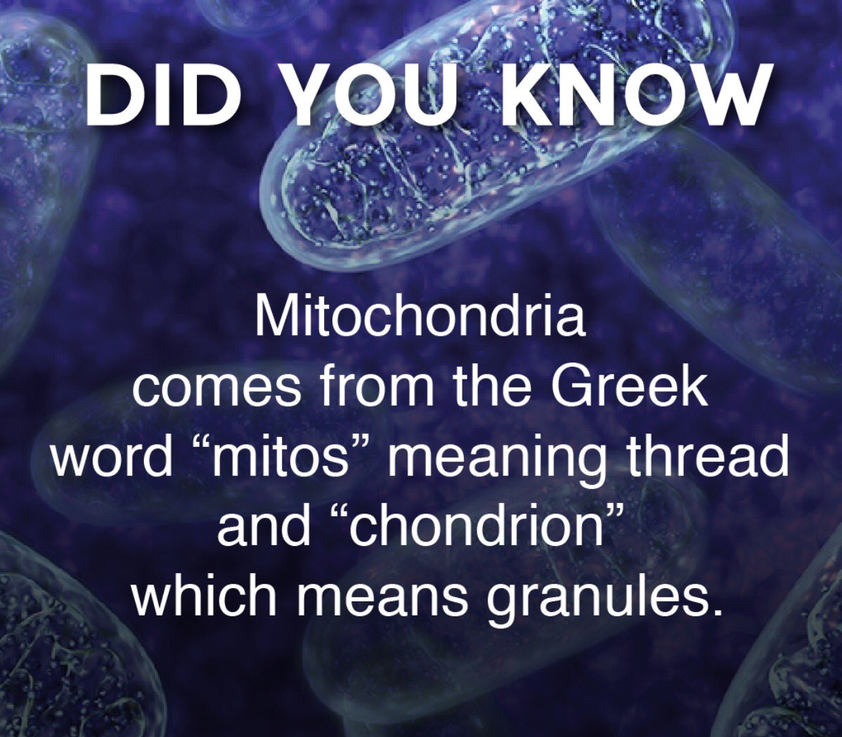 Mighty Chondria on Twitter