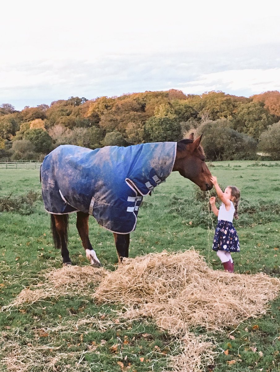 Miss_England88's tweet photo. Quick trip to the yard after visiting the #beaulieuroadponysales๐ดto feed our #newforestpony .. he loves Amelia ๐ #commoninglife #newforest https://t.co/VowoTO3umU