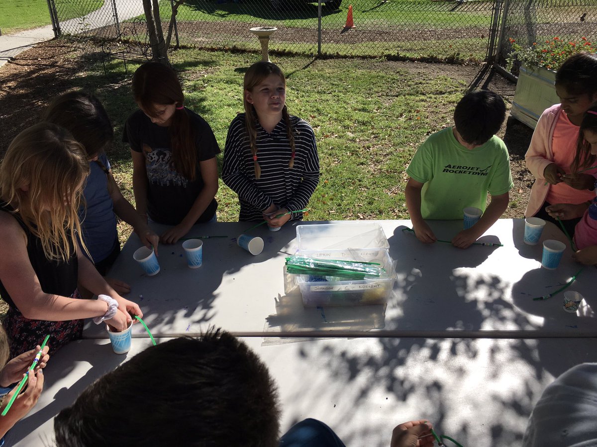 FolendorfSystem's tweet photo. Ss learning about plant chemistry in the garden https://t.co/CdUkGwswtw