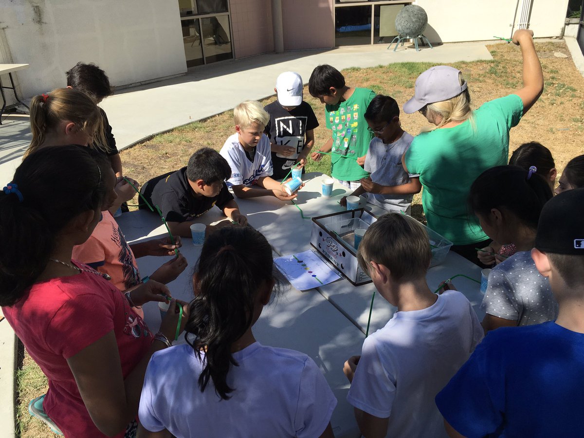 FolendorfSystem's tweet photo. Ss learning about plant chemistry in the garden https://t.co/CdUkGwswtw